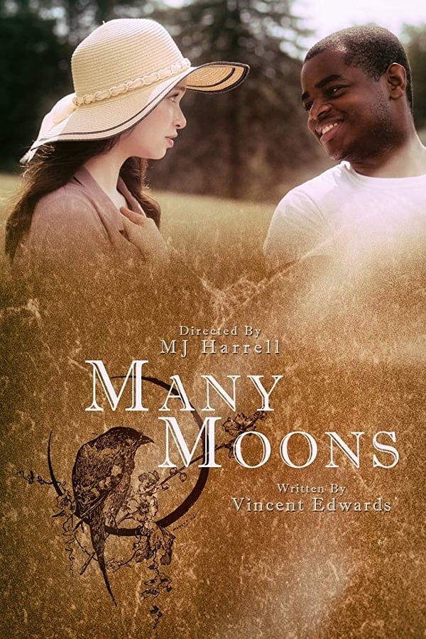 Many Moons poster