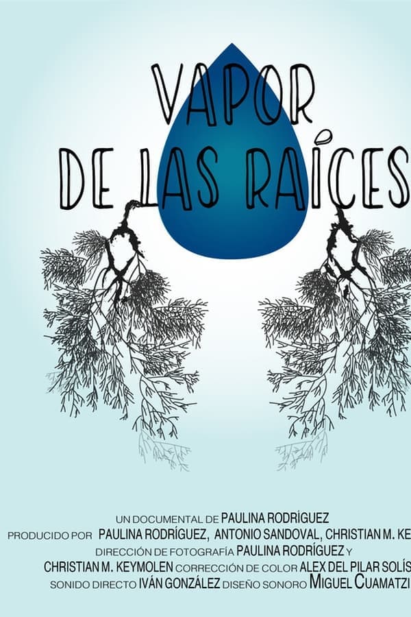 Vapor de las raíces poster