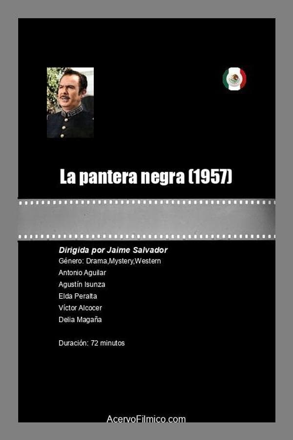 La pantera negra poster