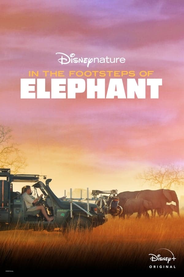 In the Footsteps of Elephant poster