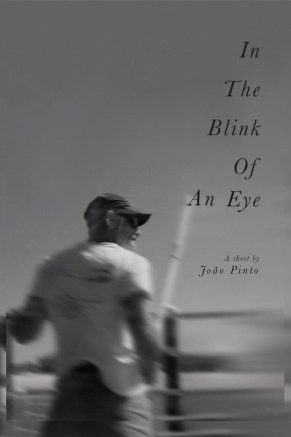 In The Blink Of An Eye poster