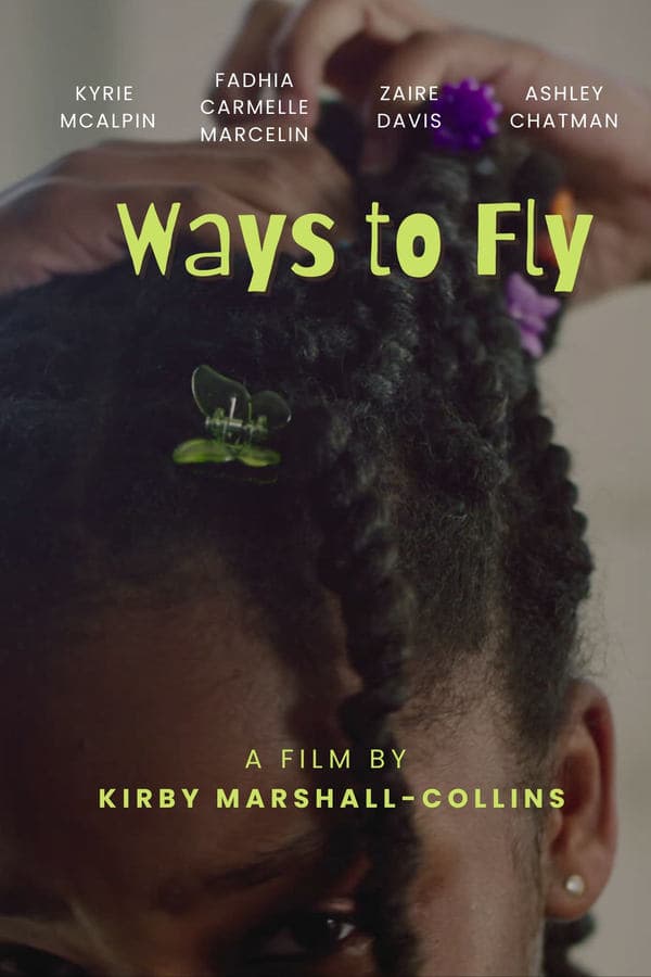 Ways to Fly poster