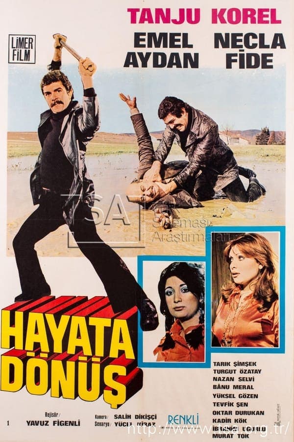 Hayata Dönüş poster