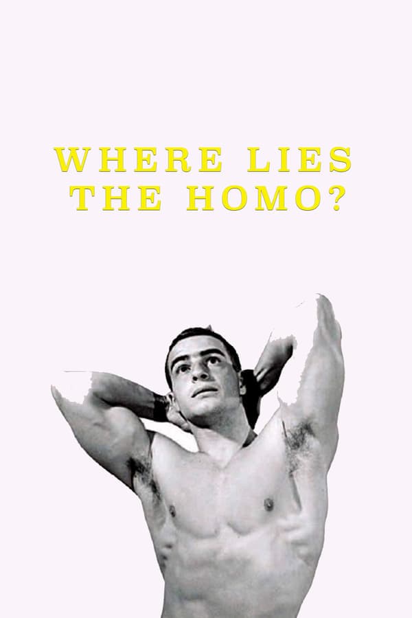 Where Lies the Homo? poster