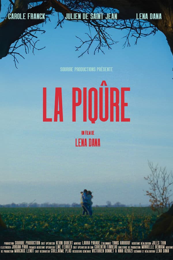 La Piqûre poster