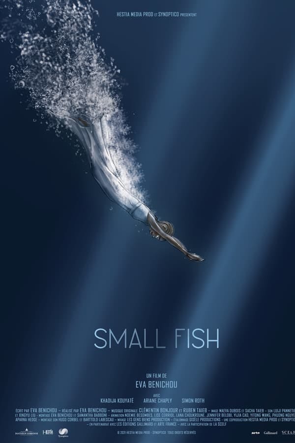 Small Fish poster