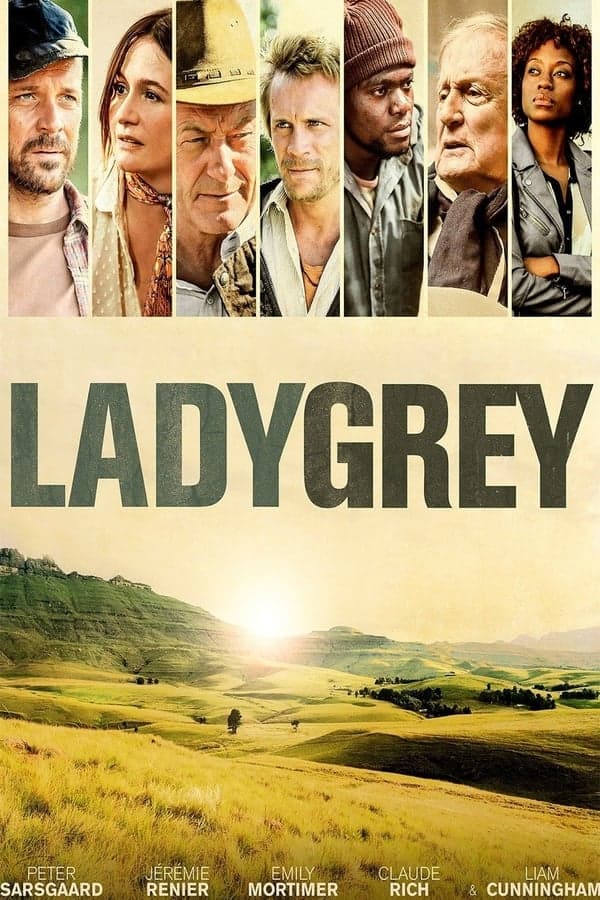 Ladygrey poster