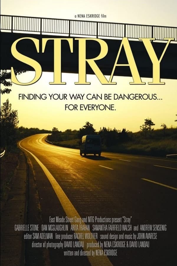 Stray poster