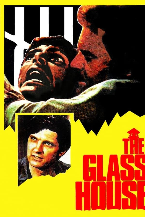 The Glass House poster