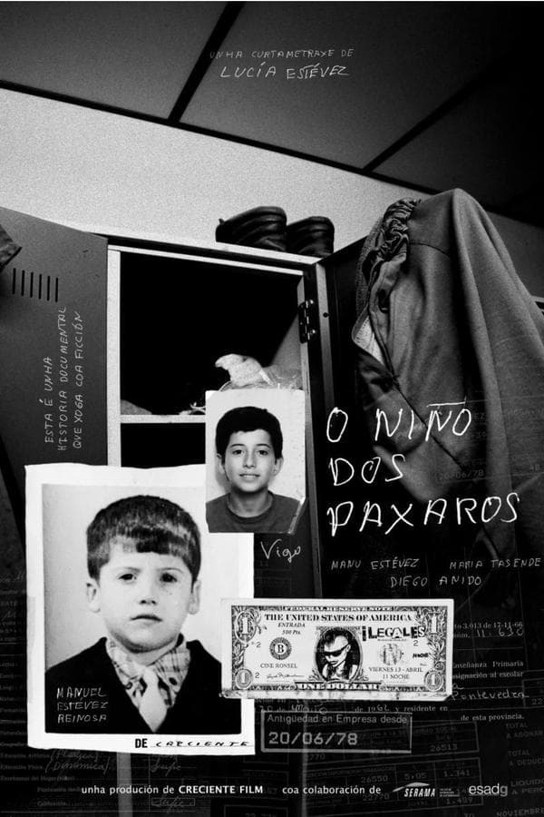 O niño dos paxaros poster