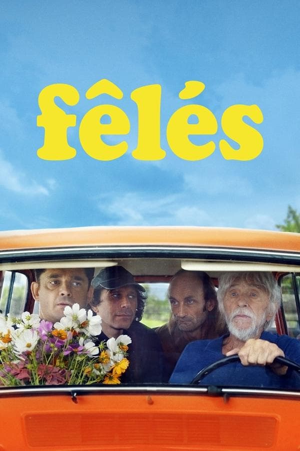 Fêlés poster