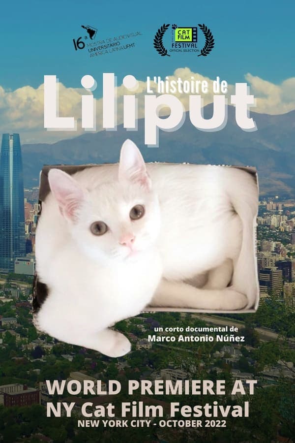 Liliput's Story poster