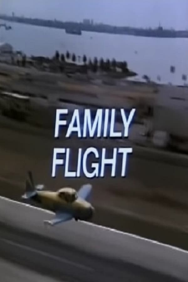 Family Flight poster