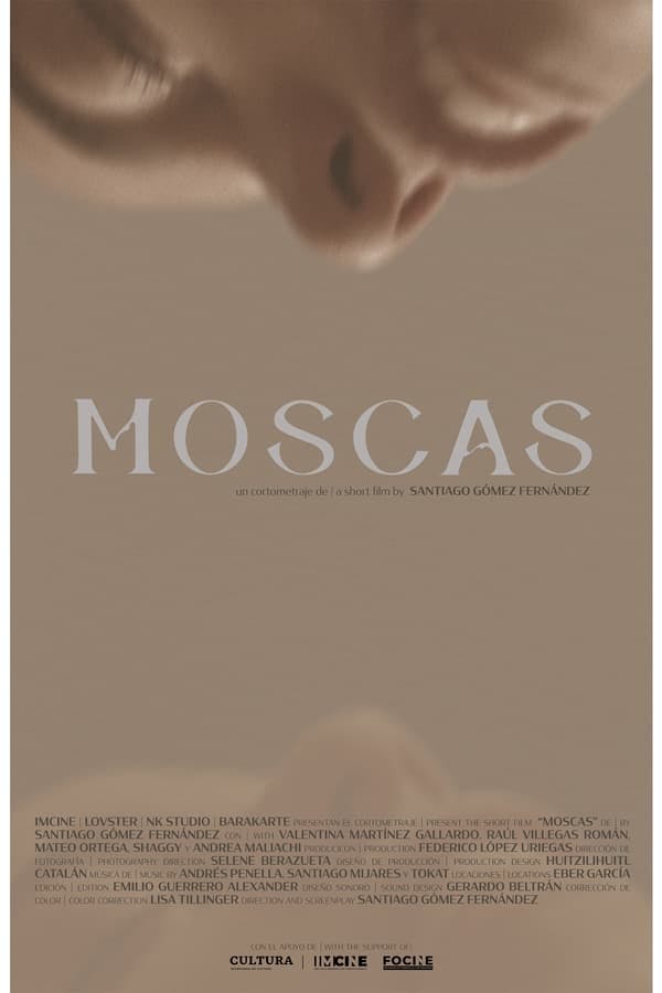 Moscas poster