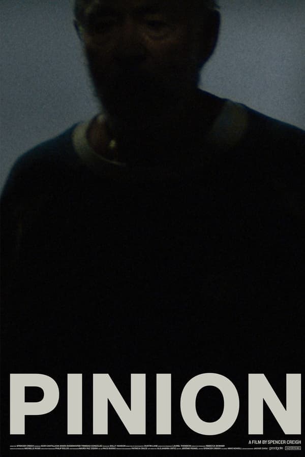 Pinion poster