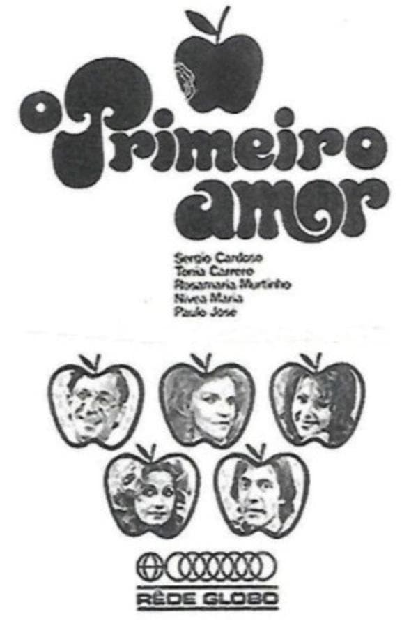 O Primeiro Amor poster