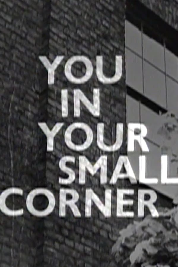 You in Your Small Corner poster