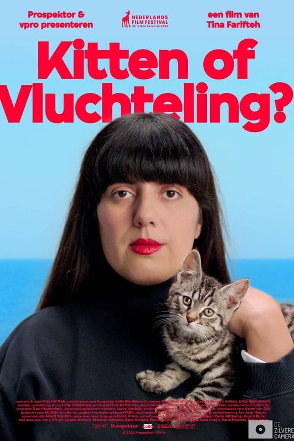 Kitten of vluchteling? poster