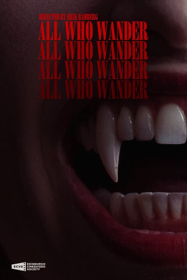 All Who Wander poster