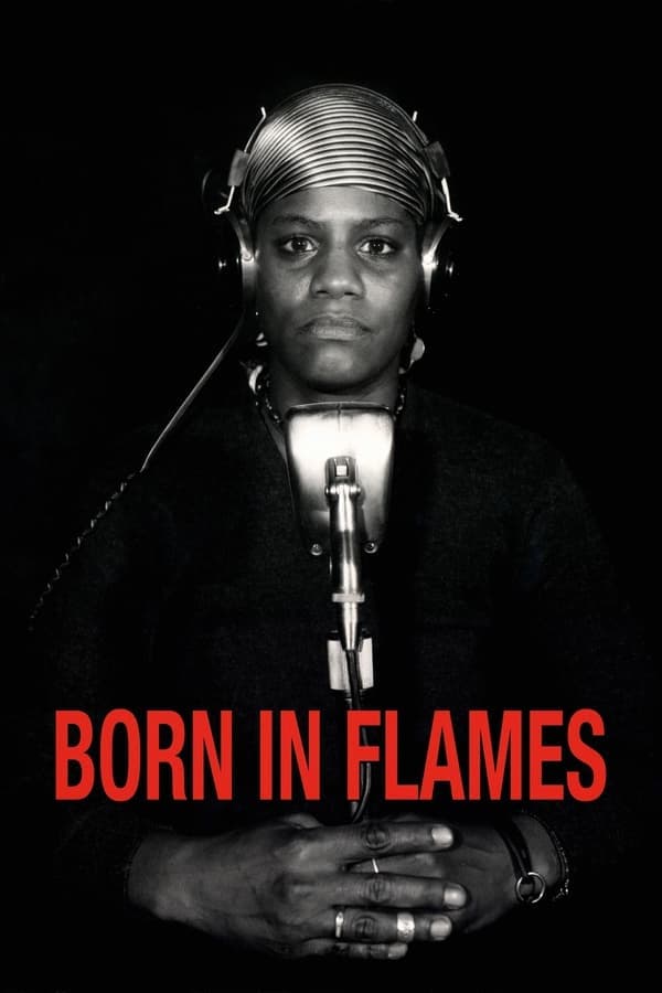 Born in Flames poster