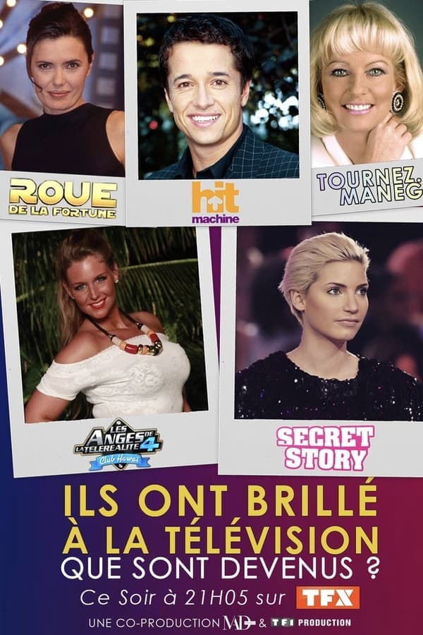 Ils ont brillé à la télé : que sont-ils devenus ? poster