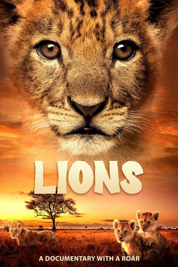 Lions poster