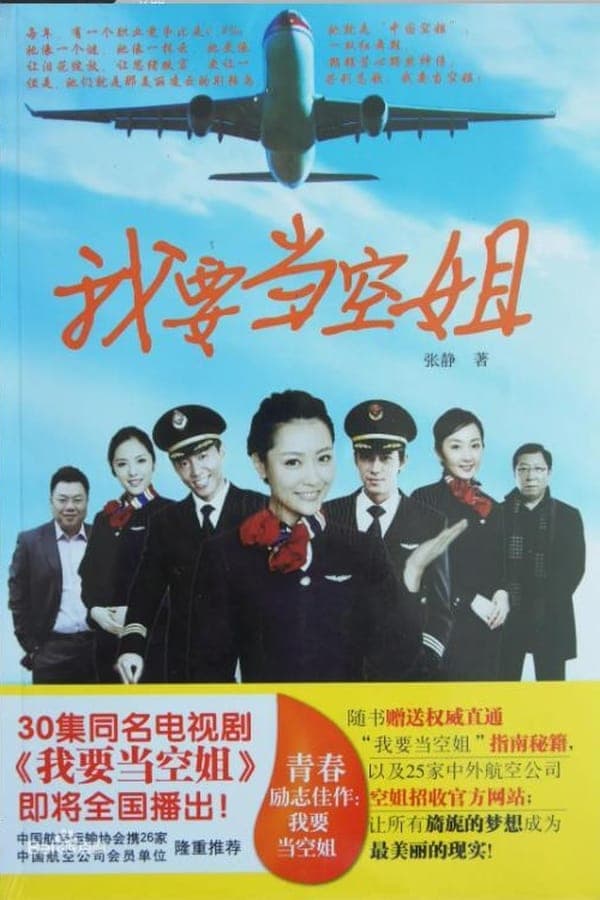 我要当空姐 poster