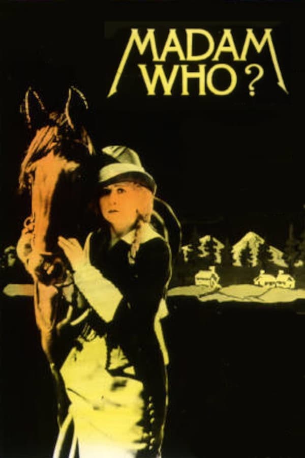 Madam Who poster