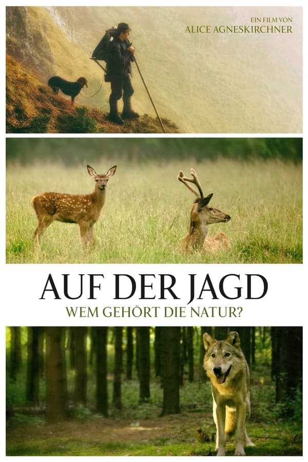 Auf der Jagd - Wem gehört die Natur? poster