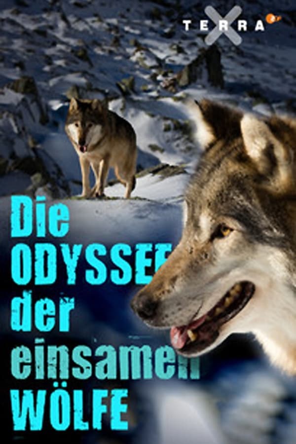 Die Odyssee der einsamen Wölfe poster