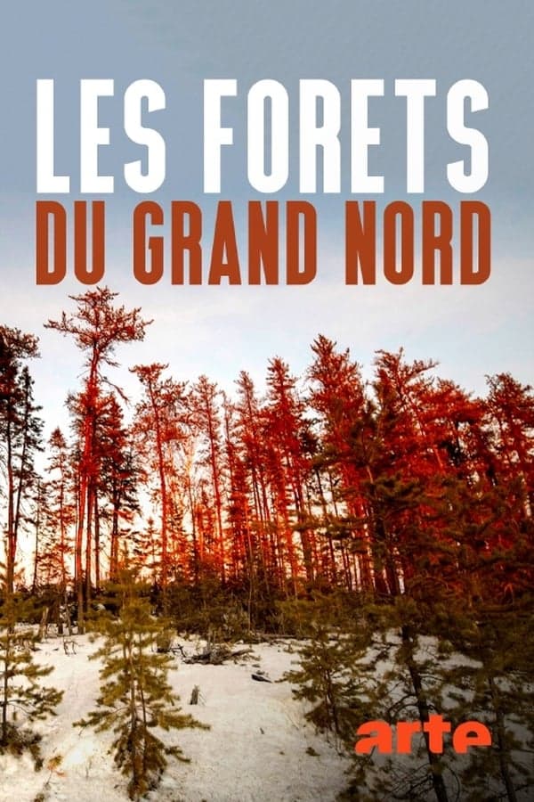 Les forêts du Grand Nord poster