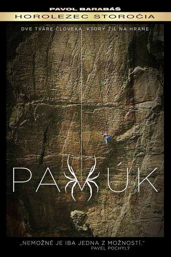 Pavúk poster