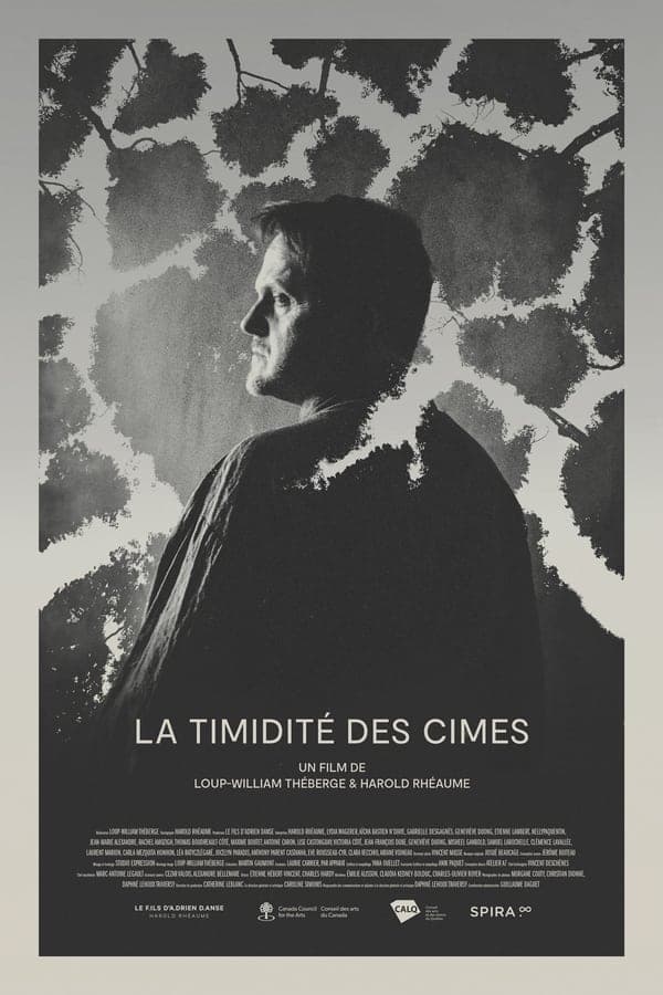 La Timidité des Cimes poster