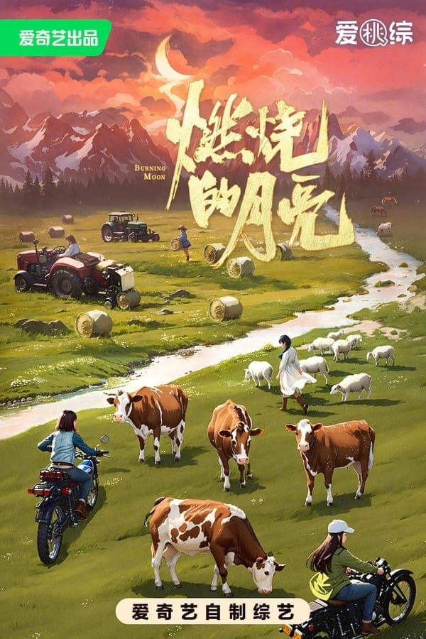 燃烧的月亮 poster