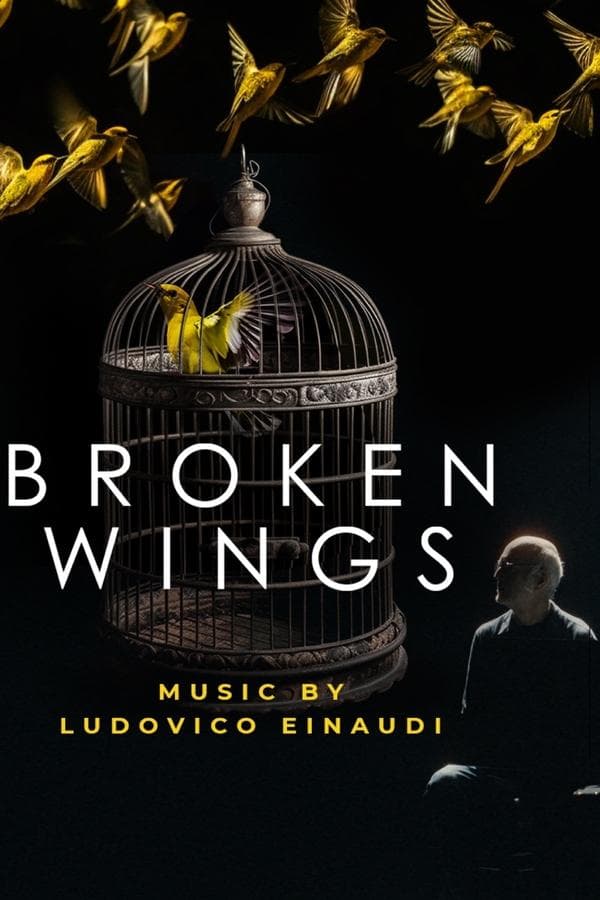 Broken Wings poster