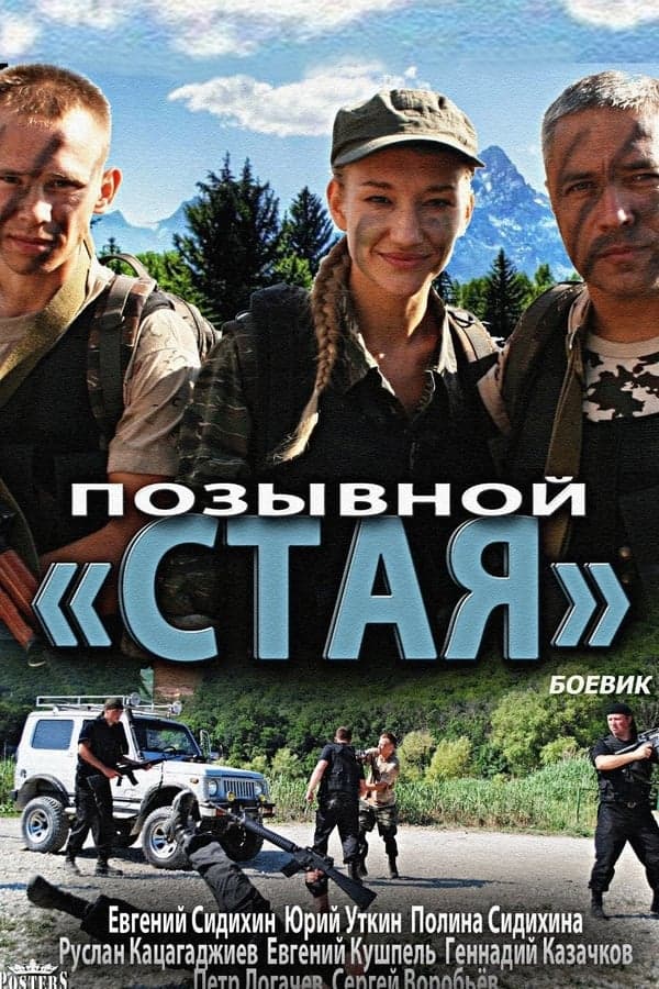 Позывной «Стая» poster