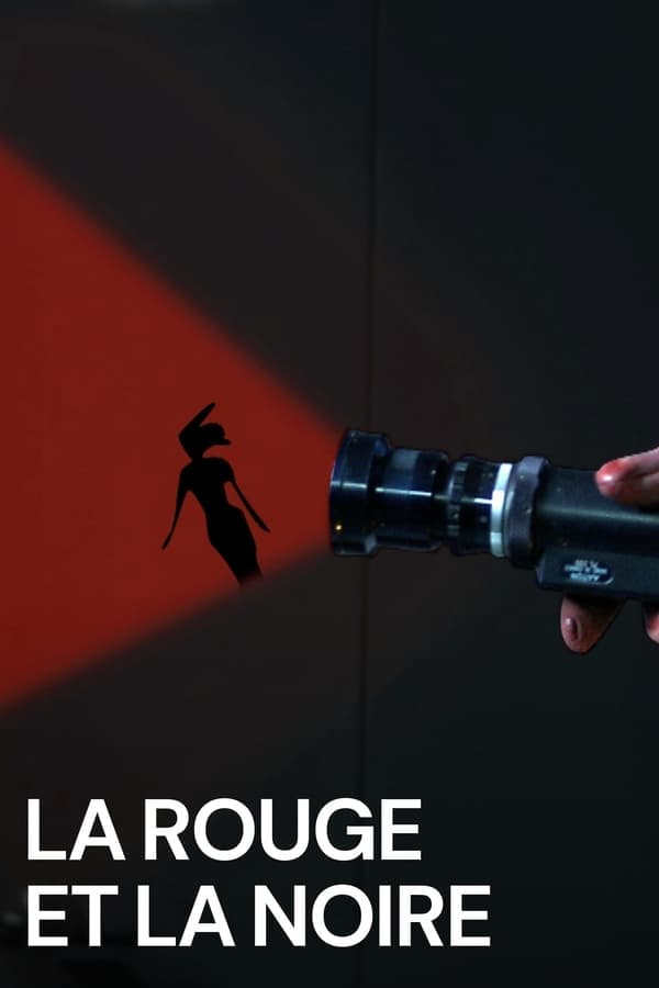 La rouge et la noire poster